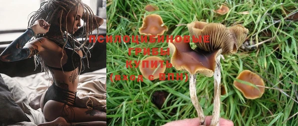 мдпв Нефтекумск