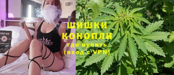 спайс Нея