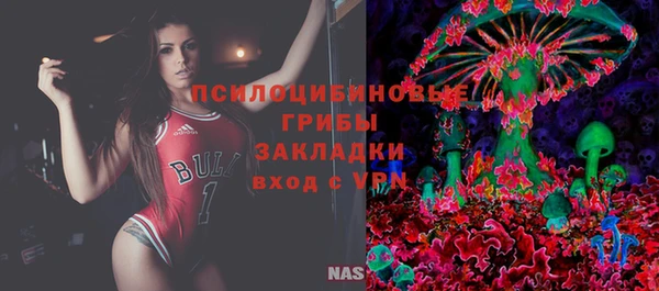 спайс Нея