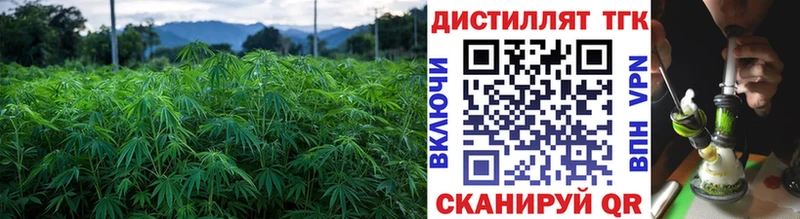 ТГК концентрат  блэк спрут как зайти  Знаменск  купить наркотик 
