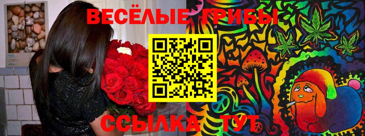 Галлюциногенные грибы Magic Shrooms  где продают   Знаменск  Вход с VPN 
